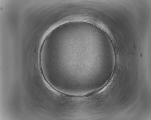 X0000080731528200612151211