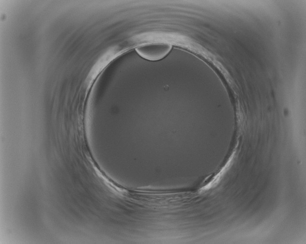 X0000080731529200612151211