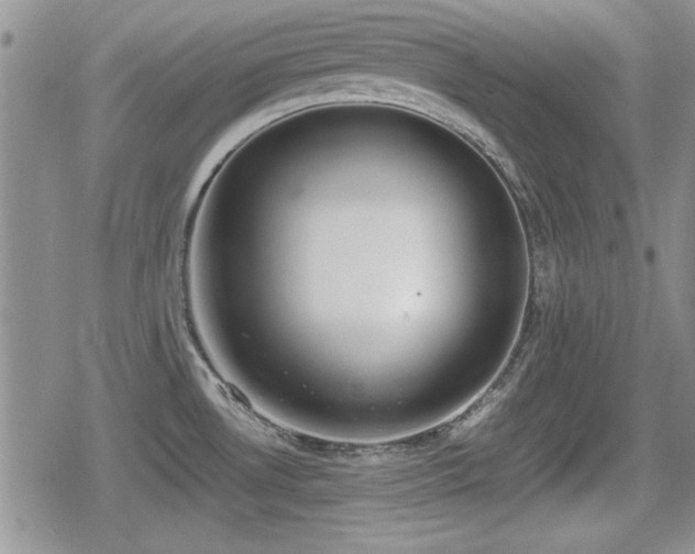 X0000080731530200612151211