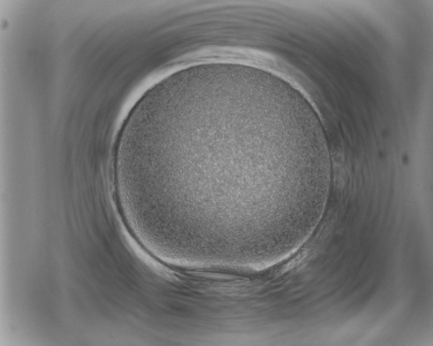 X0000080731531200612151211