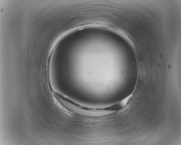 X0000080731532200612151211