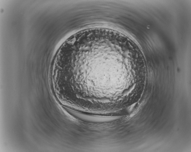 X0000080731533200612151211