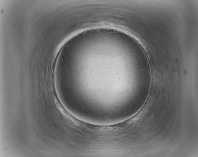 X0000080731534200612151211