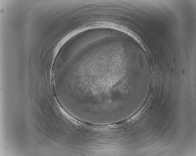 X0000080731535200612151211