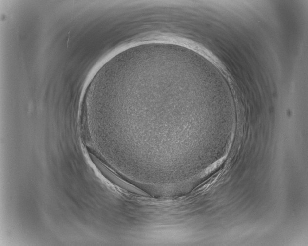 X0000080731536200612151211