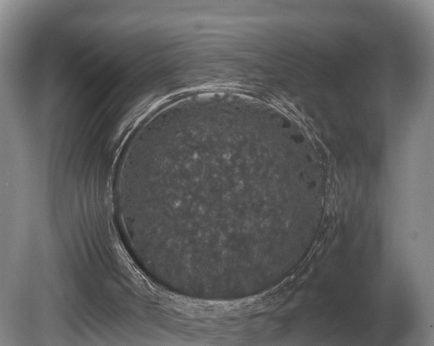 X0000080730002200612221305