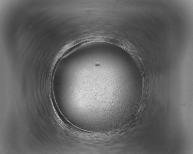 X0000080730003200612221305