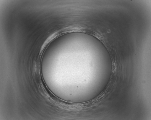 X0000080730004200612221305