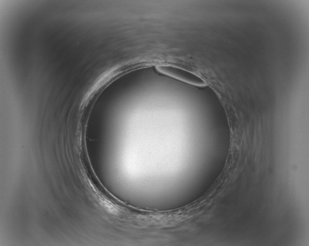 X0000080730005200612221305