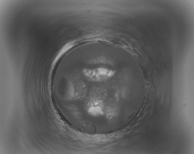 X0000080730006200612221305