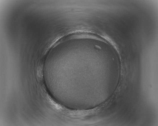 X0000080730009200612221305