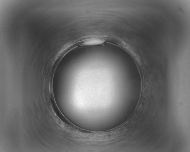 X0000080730011200612221305