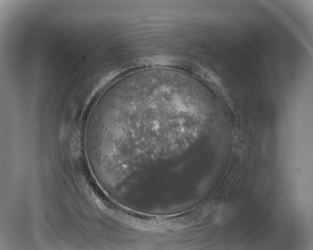 X0000080730012200612221305