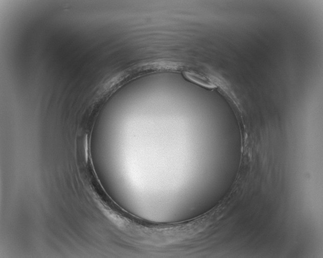 X0000080730013200612221305