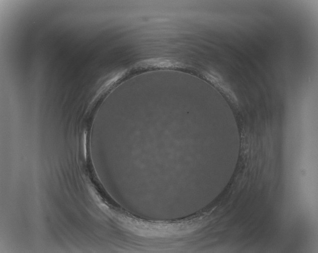 X0000080730014200612221305