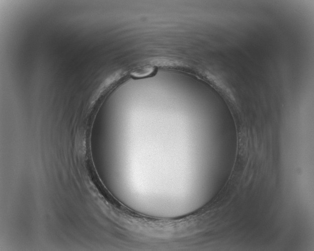 X0000080730015200612221305