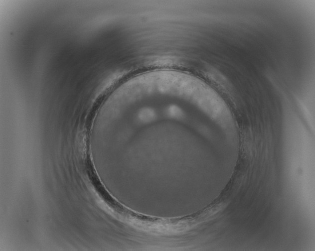 X0000080730016200612221305