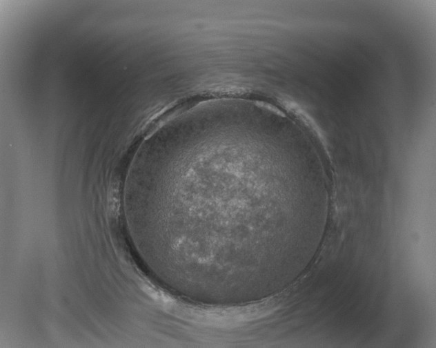 X0000080730017200612221305