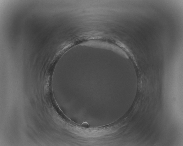 X0000080730018200612221305