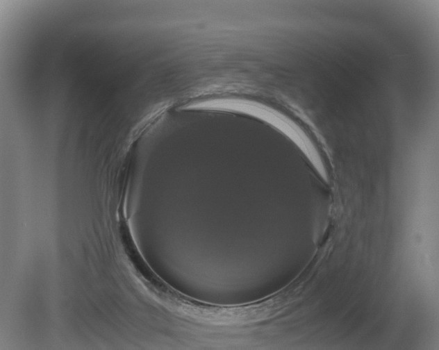 X0000080730019200612221304