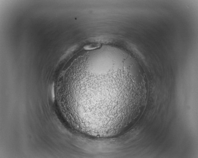 X0000080730020200612221304