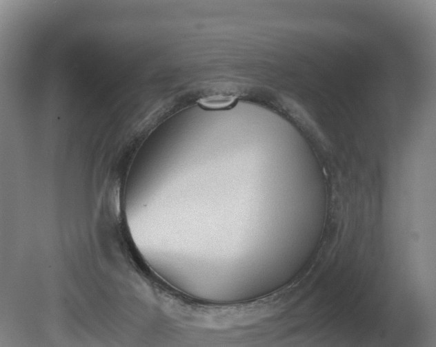 X0000080730021200612221304