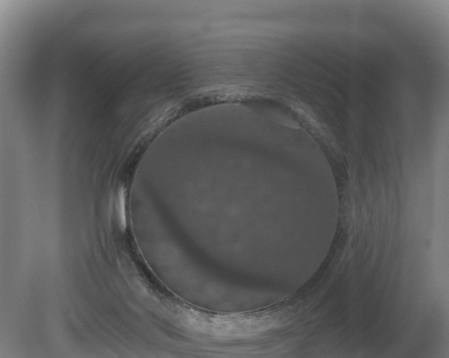 X0000080730022200612221304