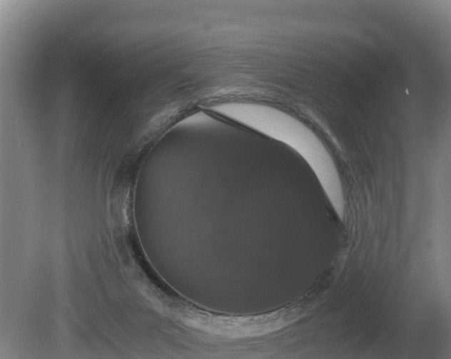 X0000080730023200612221304