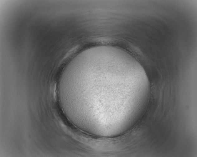 X0000080730024200612221304