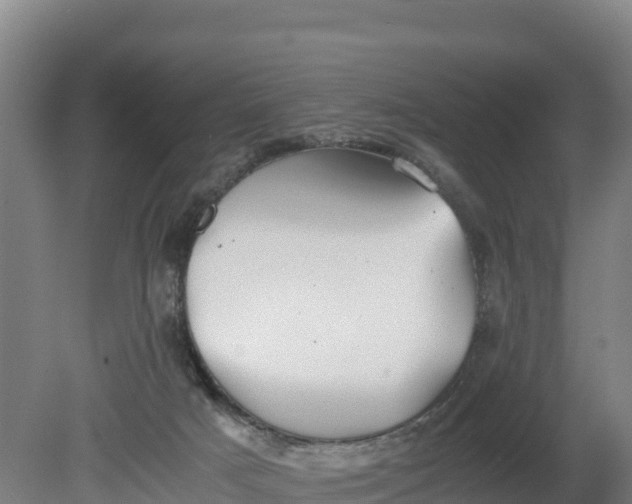 X0000080730025200612221304