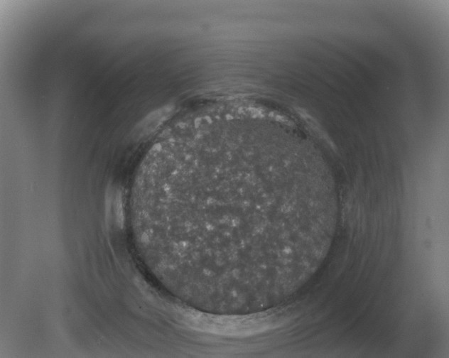 X0000080730026200612221304