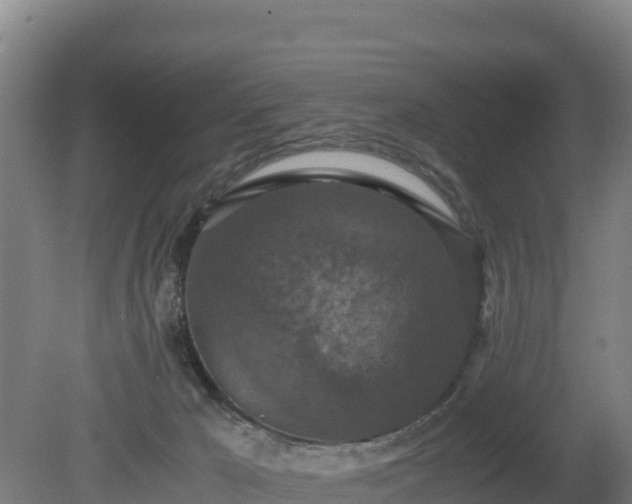 X0000080730029200612221304