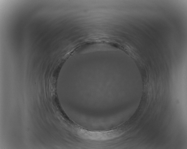 X0000080730030200612221304