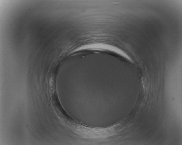 X0000080730031200612221304