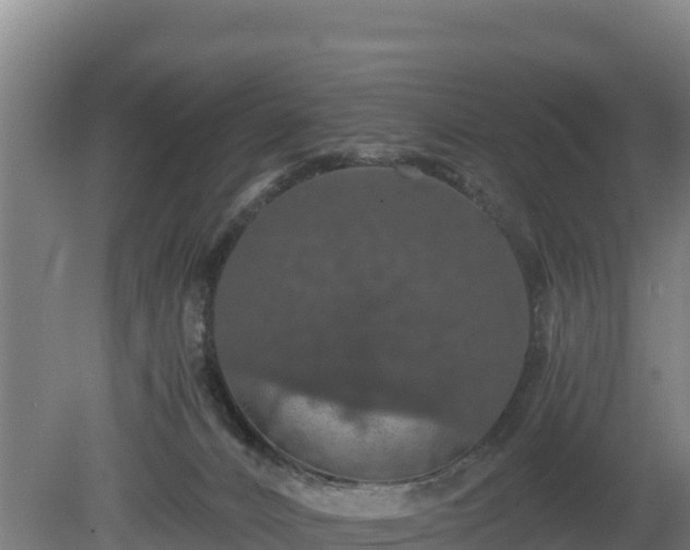 X0000080730032200612221304