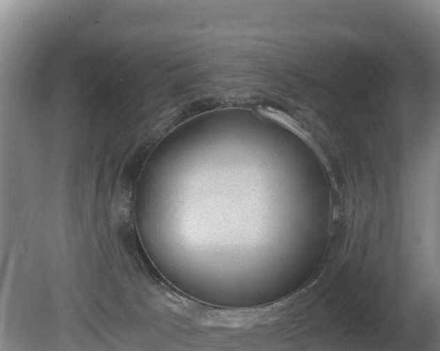 X0000080730033200612221304