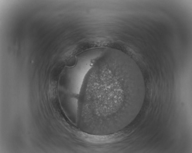 X0000080730034200612221304