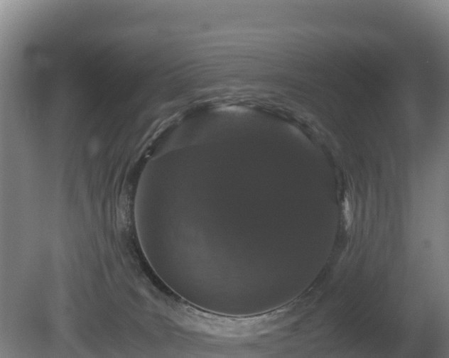 X0000080730035200612221304