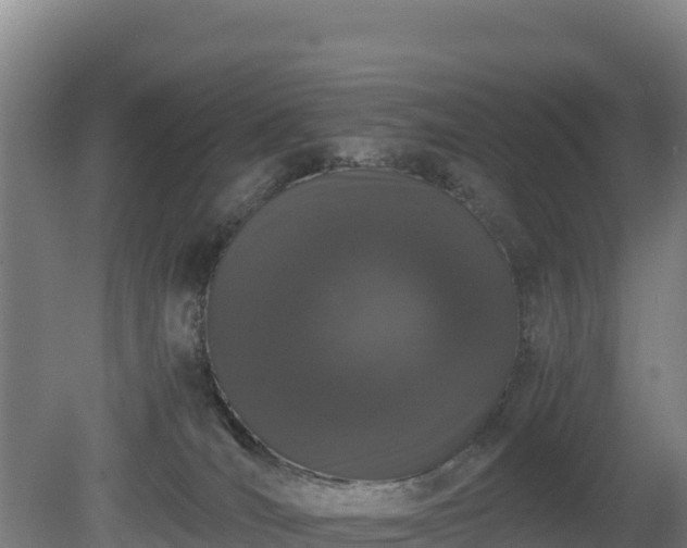 X0000080730036200612221304