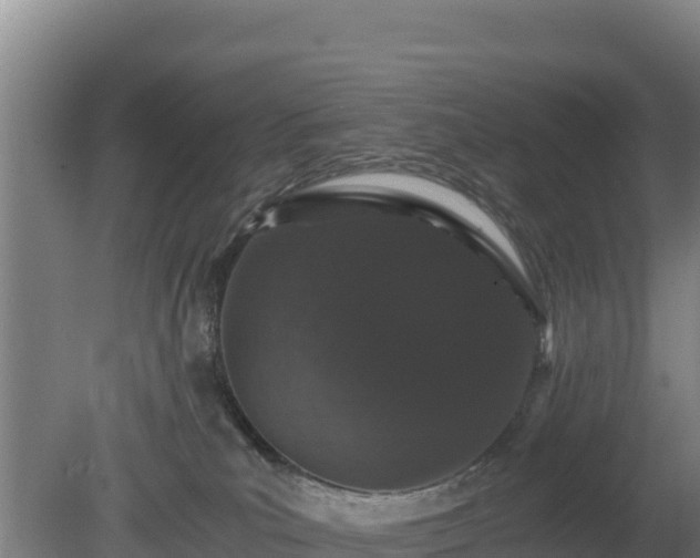 X0000080730039200612221304