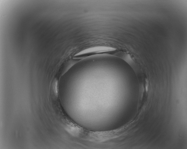 X0000080730041200612221304