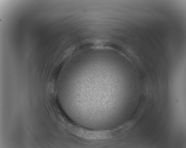 X0000080730044200612221304