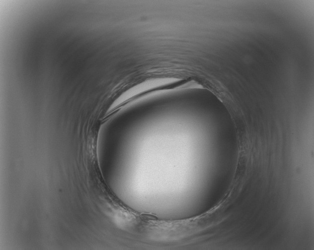 X0000080730045200612221304