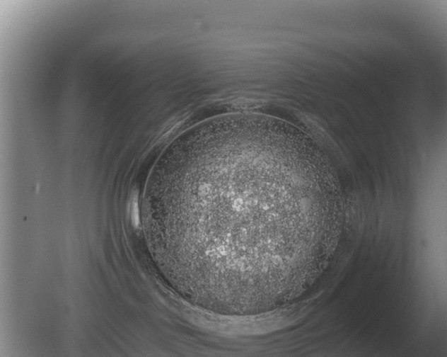 X0000080730046200612221304