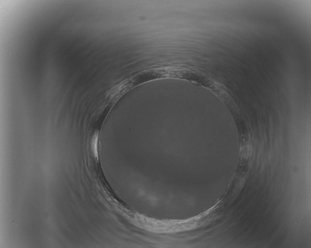 X0000080730047200612221304