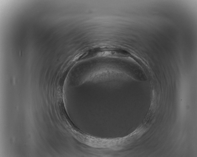 X0000080730048200612221304