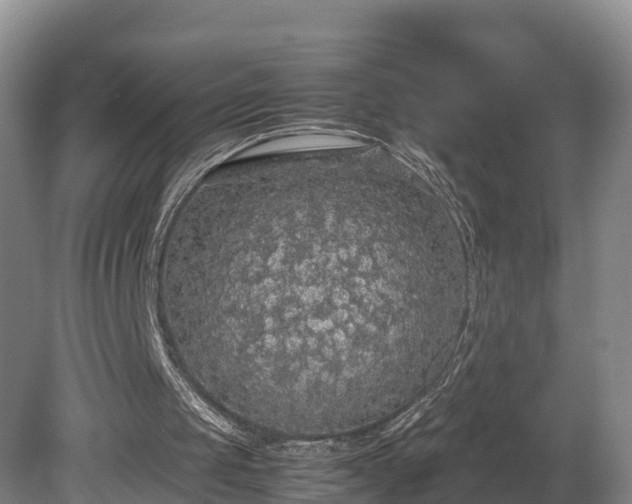 X0000080730049200612221303