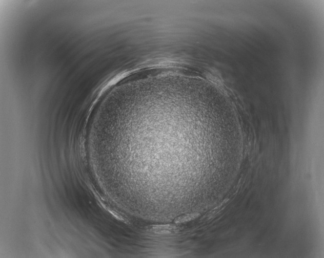 X0000080730050200612221303