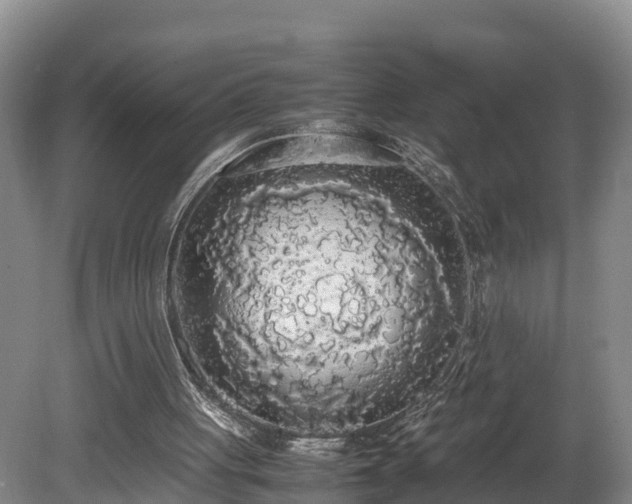 X0000080730051200612221303