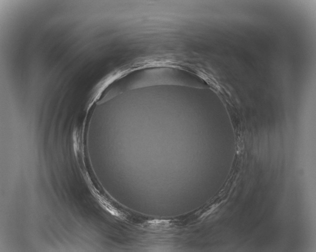 X0000080730052200612221303